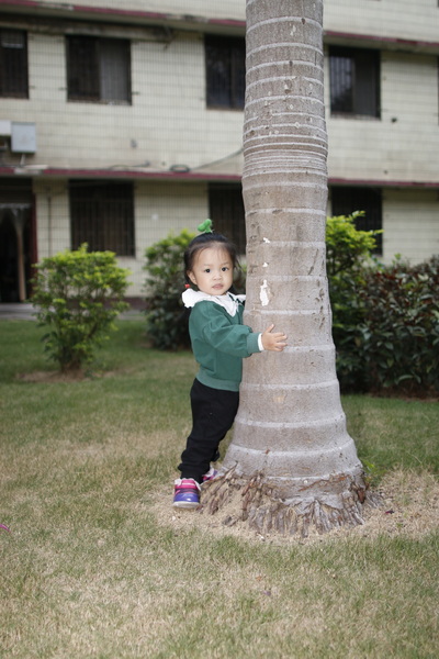 2019年11月26日照片